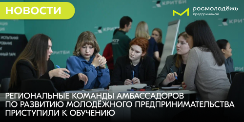 Региональные команды амбассадоров по развитию молодёжного предпринимательства приступили к обучению